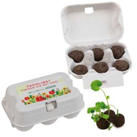 Sixpack_titel.jpg produktbild