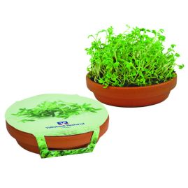 Minikruka med krasse Bowl produktbild