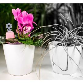 PlantRay med tryck, Bevattningsindikator produktbild