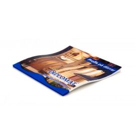 Isskrapa IceWave produktbild